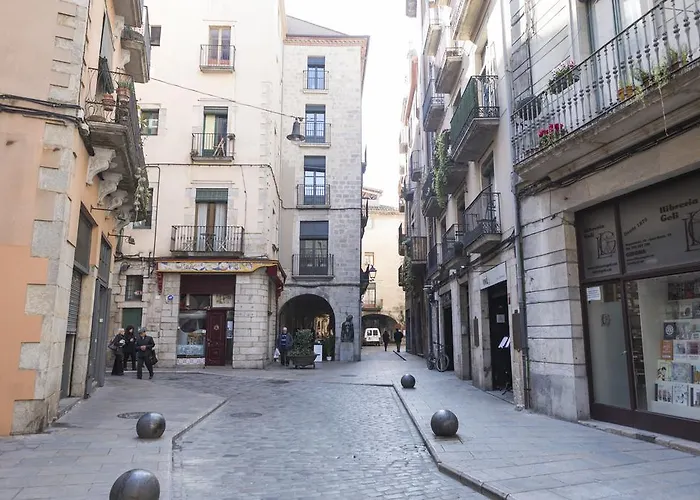 Bravissimo Cort Reial-1B